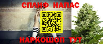 стаф Анжеро-Судженск