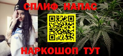 стаф Анжеро-Судженск