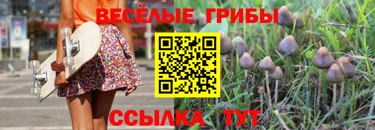 купить   Вход с VPN  Обь  Галлюциногенные грибы ЛСД  Псилоцибиновые грибы Psilocybine cubensis 